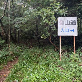 出発点の標識の左側に降りてきた。