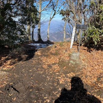 山頂はこんな様子でした。では👋