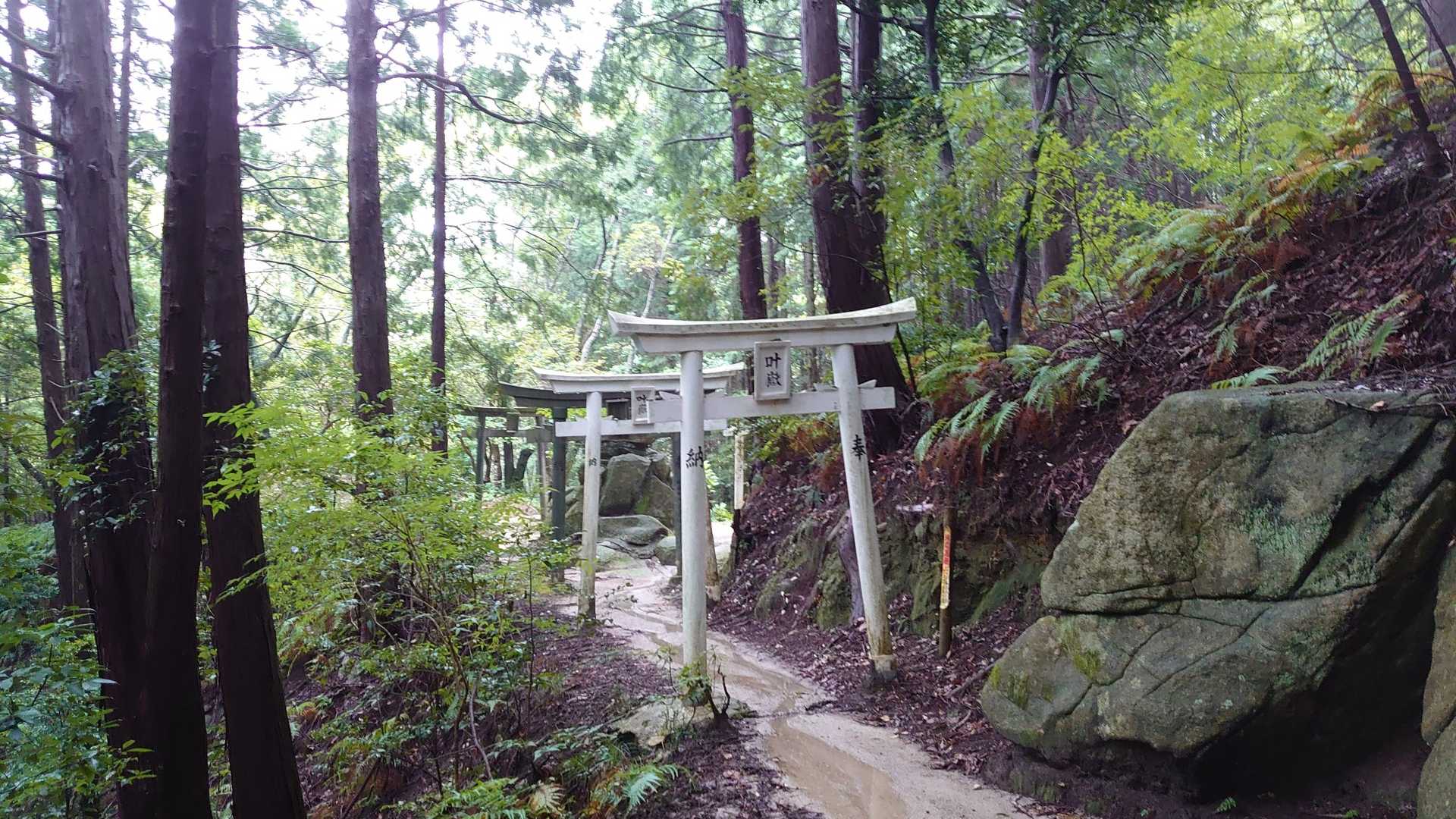 叶岳登山口-叶岳-高地山 往復コースの写真