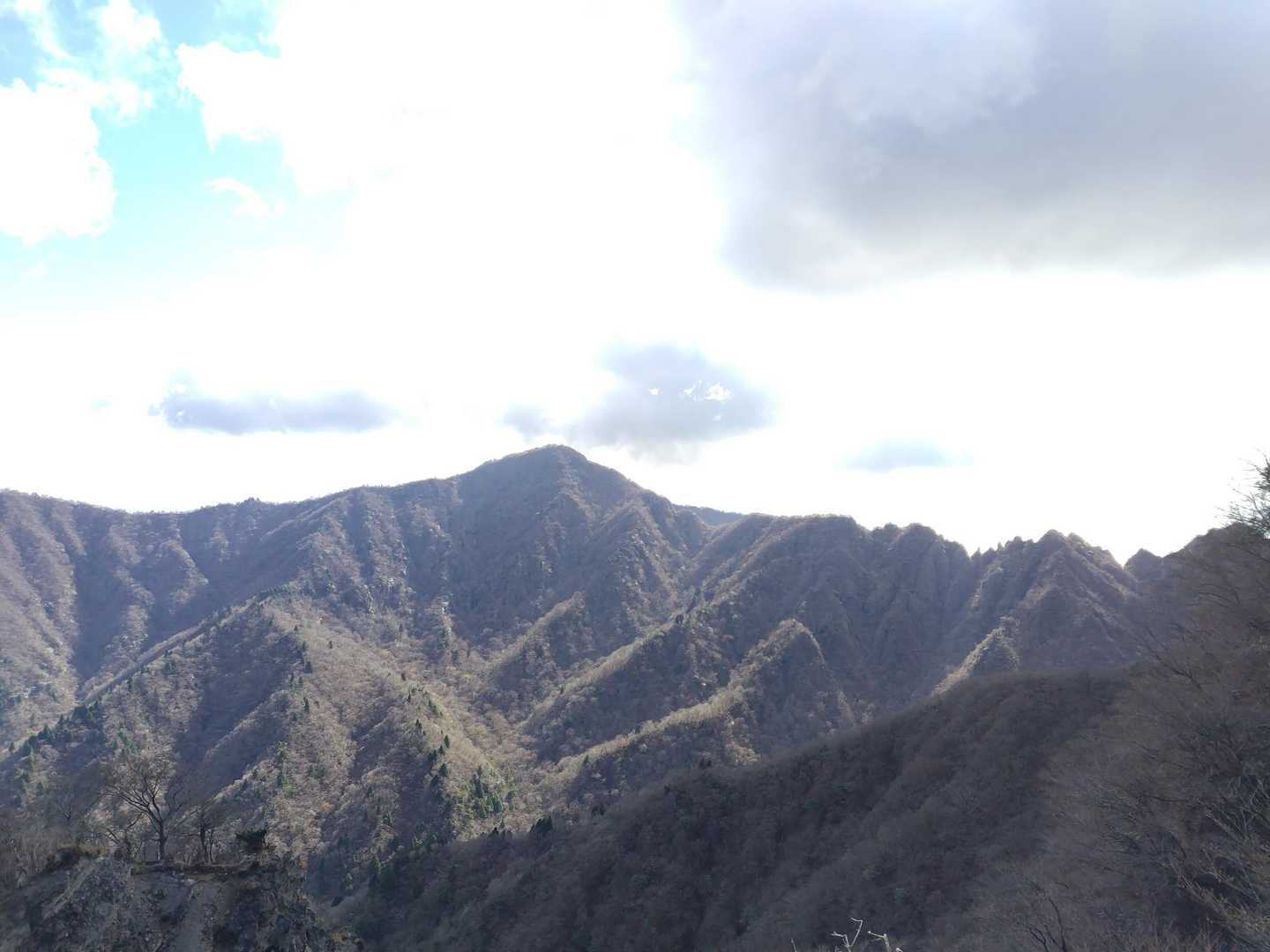 十里木高原登山口-越前岳-富士見台-富士見峠-黒岳-山神社 縦走コースの写真