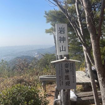 岩神山から鳴滝不動尊へはあまり人が入って無いのか少し荒れてます