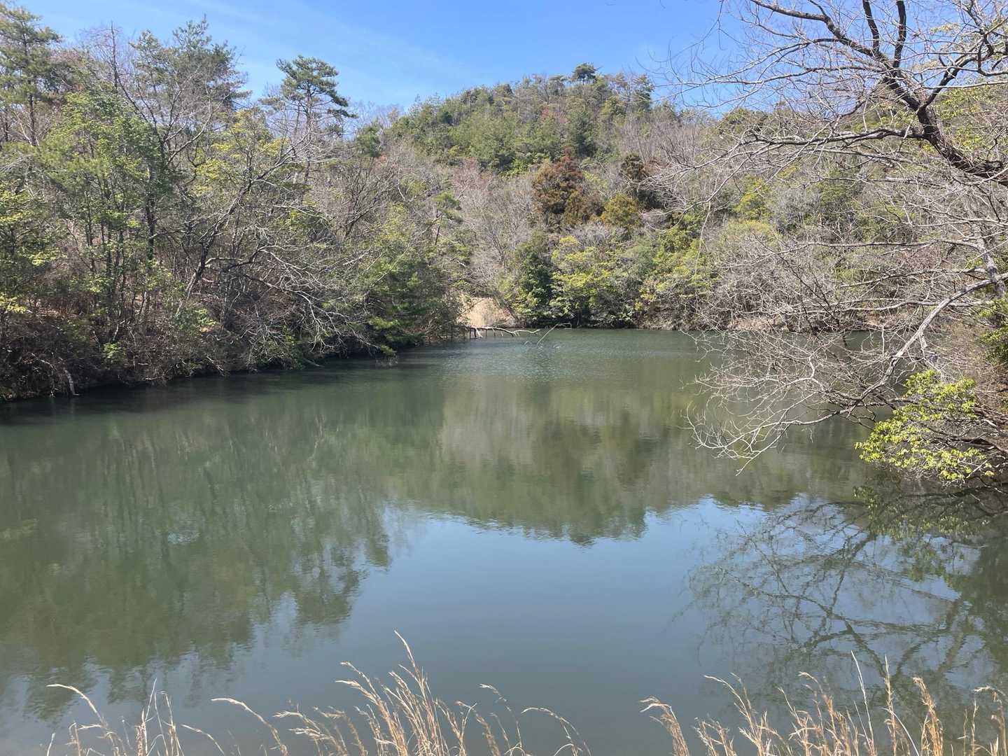 名前は分かりません。小さな池です