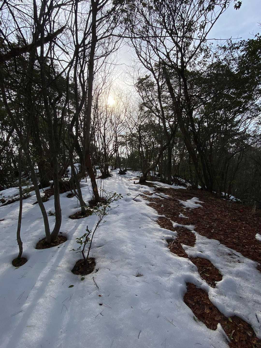 ザックもチェンスパも置いてきたのに、雪がいっぱい😵やはりここは比良山系だった💦