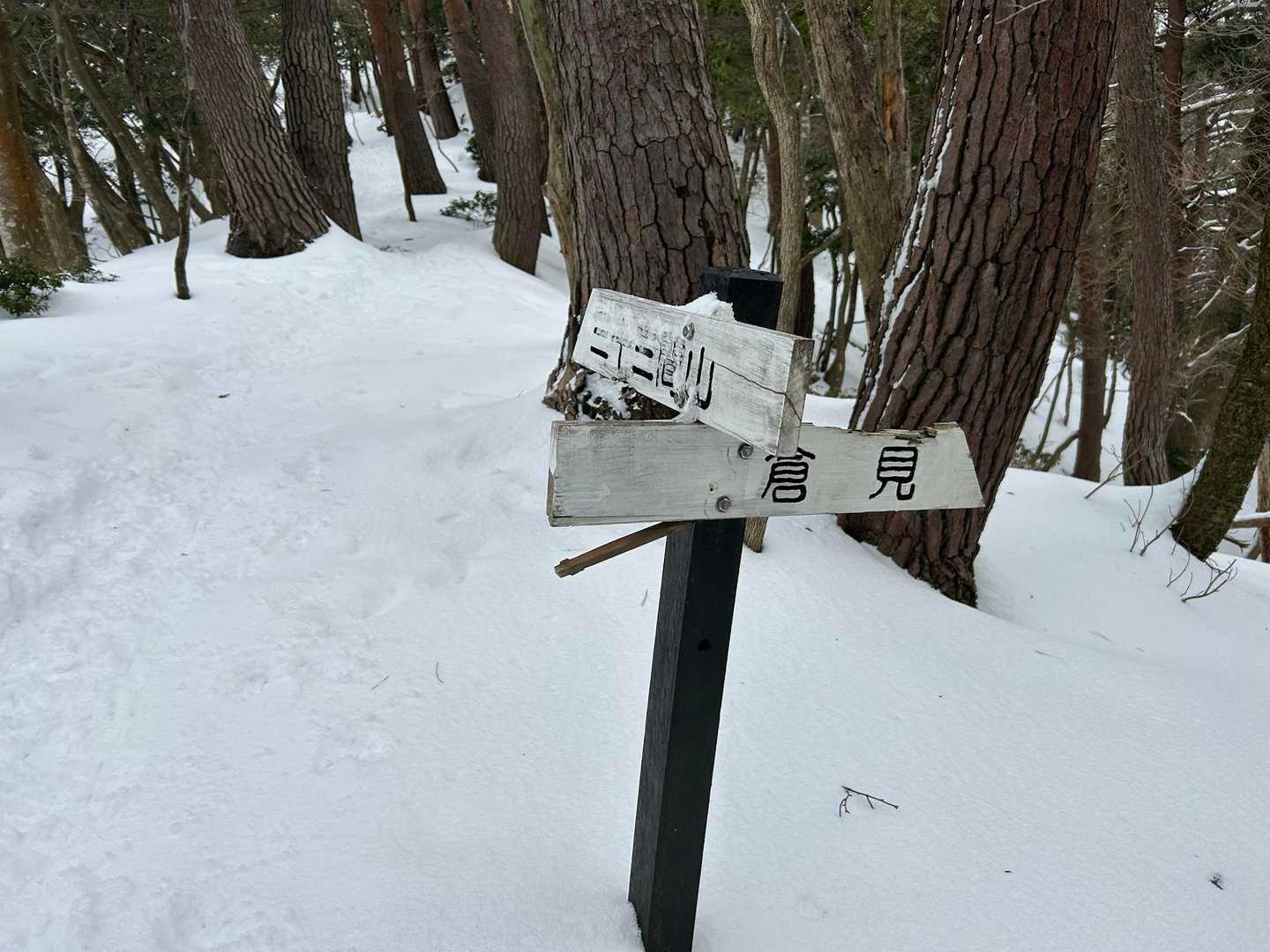 尾根に出た