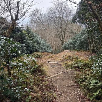 では
下山します
取り付きですが…

また？！　懲りずに　波線〰️ルートを下山します😝🤣😆
先程の　お嬢様方に聞いたら… 私達も初めて来たと…

三俣山のバリエーション下山　岩稜帯で　5〜6メートル滑落したから　聞いてみた！と🤭
本日はヘルメット🪖ないけど…  と