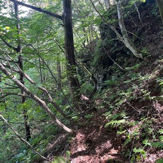 帰路。足場がやわやわしてて地味に危ないエリア。