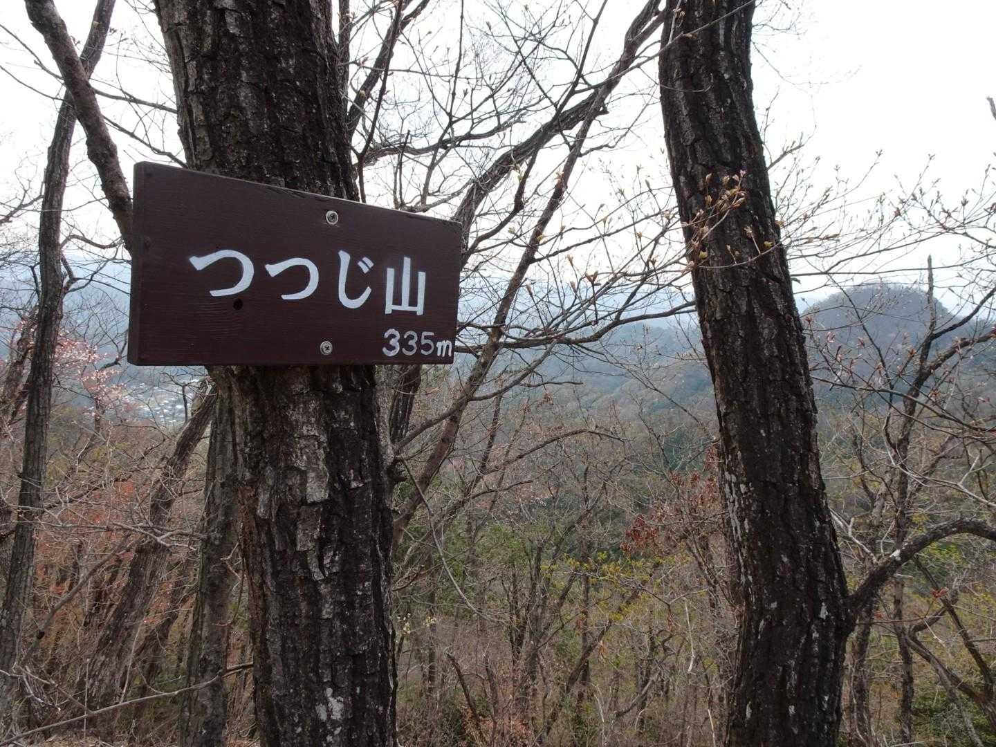 出尾根コース登山口-三床山 周回コースの写真
