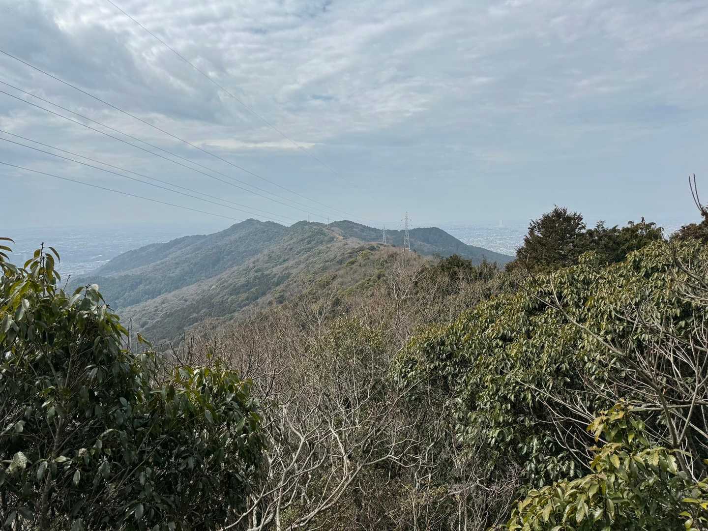 定点観測