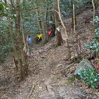 テンションが上がる旗🚩の下を通ります