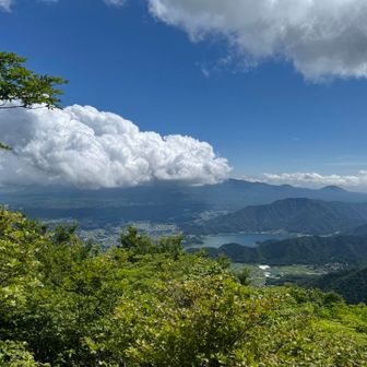 展望台からは富士山見えず🗻