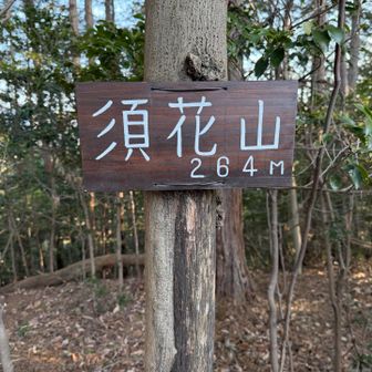 須花山

足百140座もあるのに番外