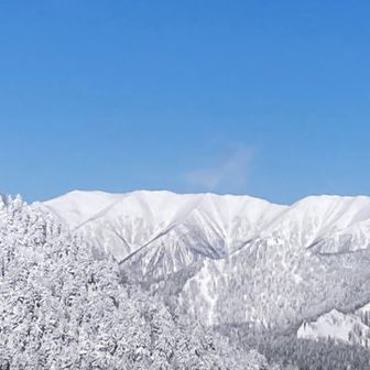 何度でも見にいってしまう🏔️