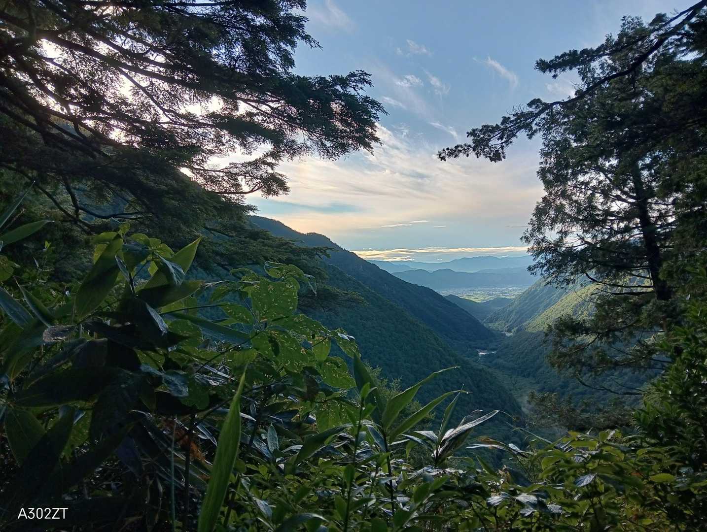 柏原新道登山口-爺ヶ岳-爺ヶ岳 縦走コースの写真