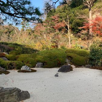 枯山水ともみじ、絵になる
