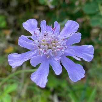 チョココーヒー