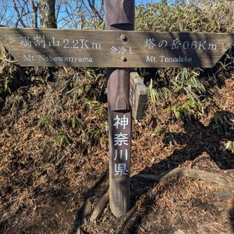 バカ尾根合流〜