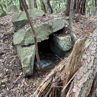 龍神様の目の前で倒木してる
直撃せず神がかってるわ
縁起が良さそうなので手を合わせおいた
