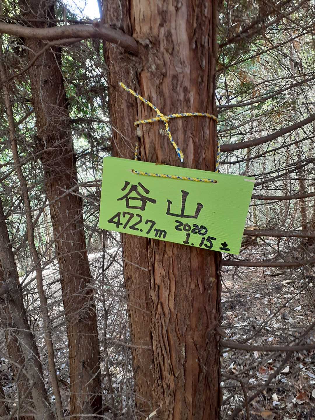 谷山山頂