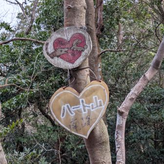 ハート山（牛頸南峰）