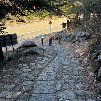 下山、さっき見た高千穂峰いきます！