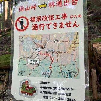 ここから鍋割山へのルートがダメってことね