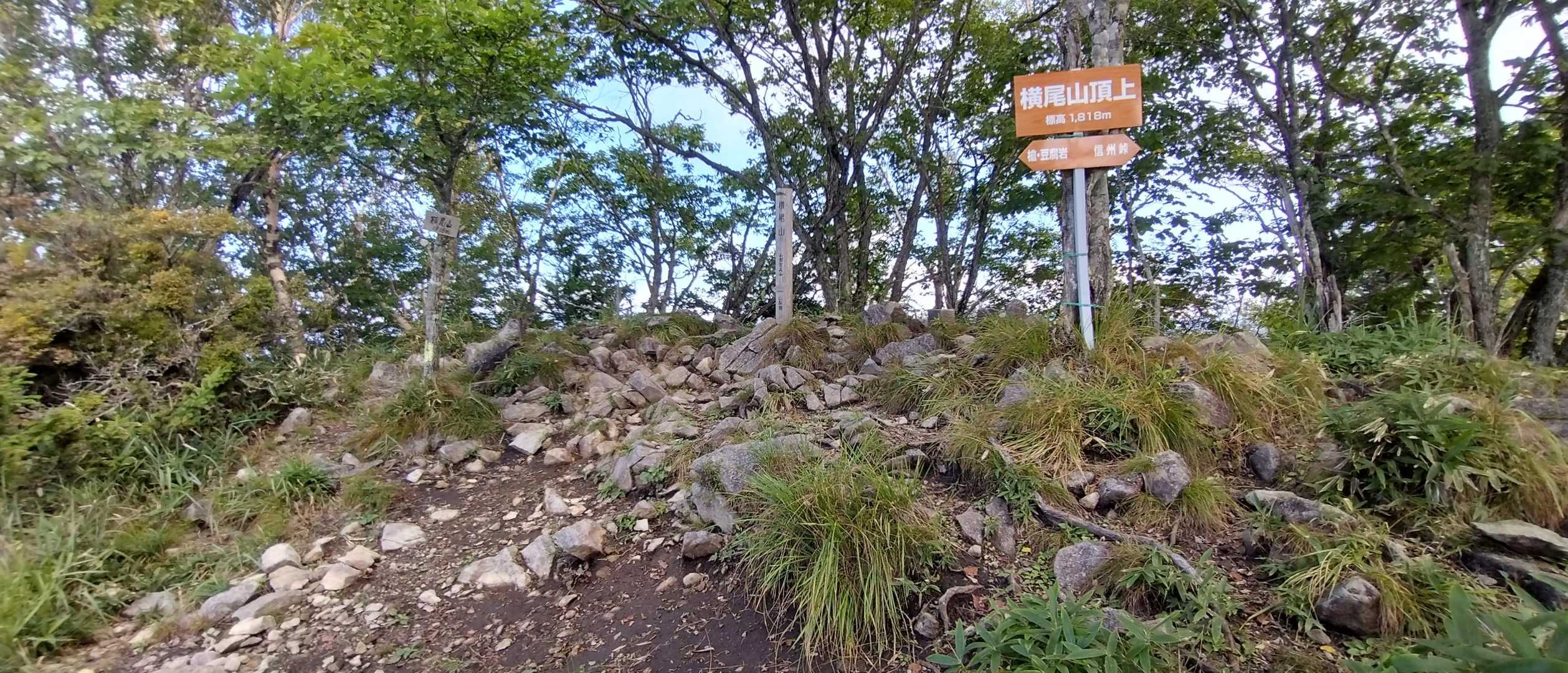 信州峠-横尾山-木賊ノ頭 往復コースの写真