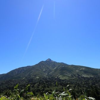 利尻山みえた