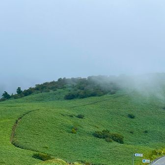 天城山へ続く稜線をうっとり眺めて