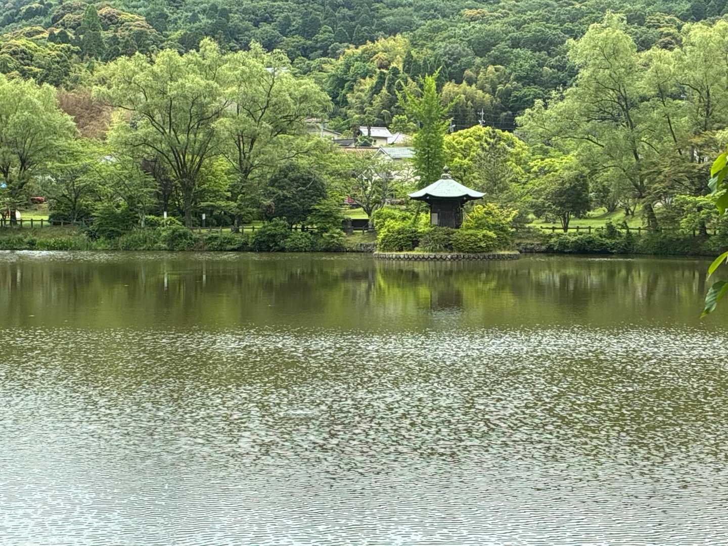 紅葉🍁には大人気の定光寺公園