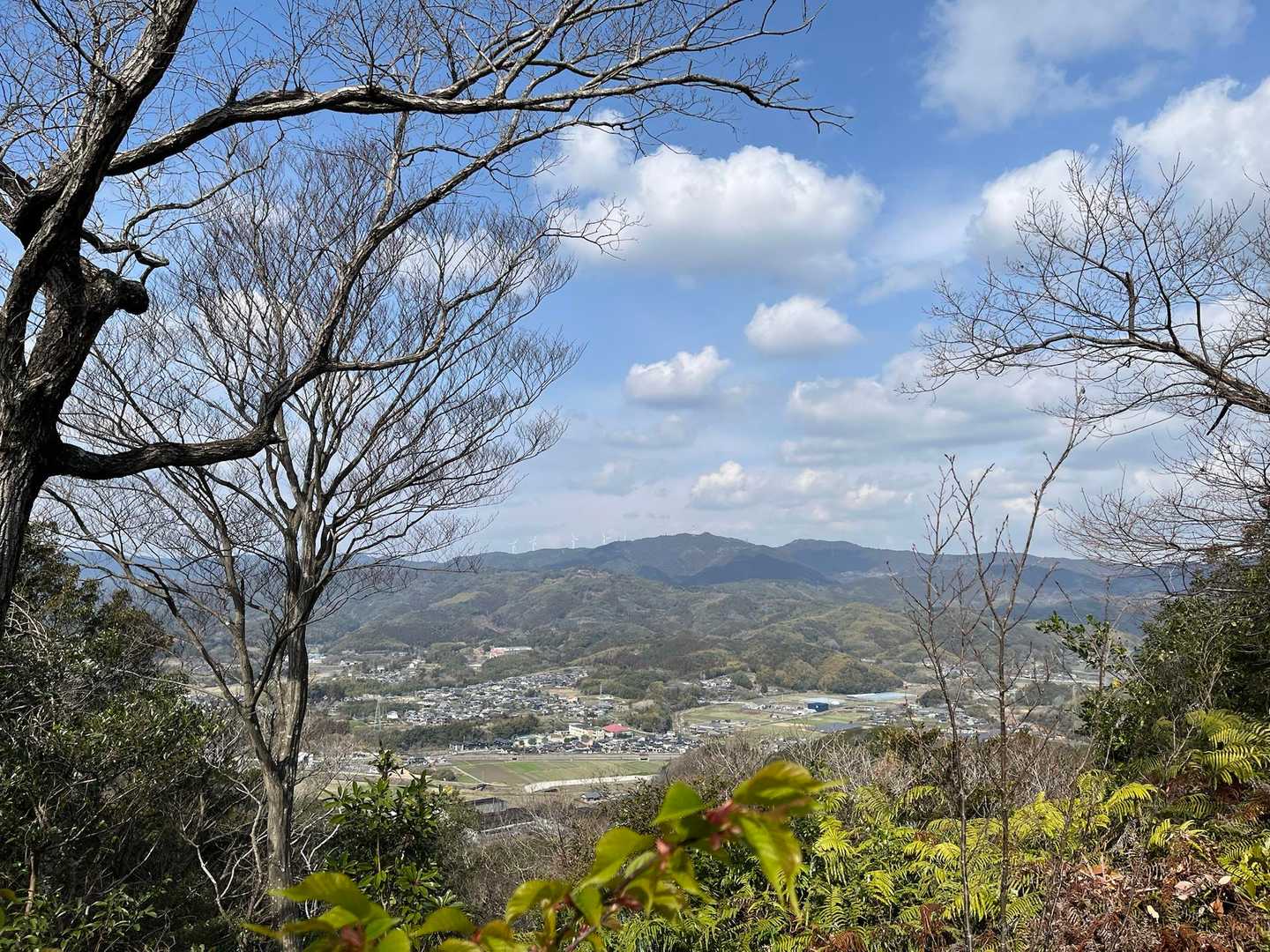 反対側の冬枯れの木
とても良い感じ