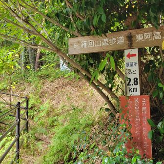 「ありがとうございました。」９時半に出発し、１７時半に帰宅しました。