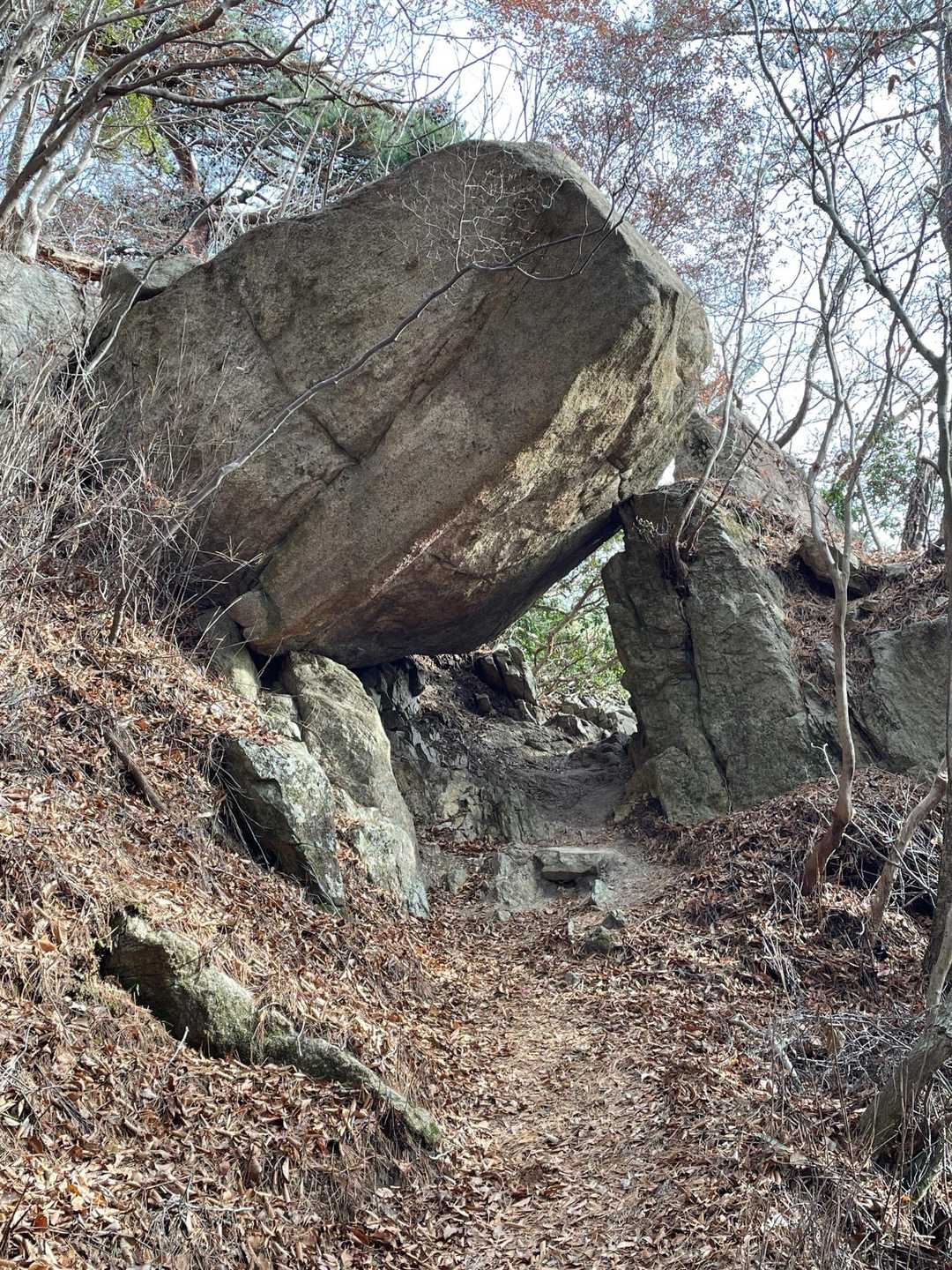 屹兎屋山-二ッ箭山 周回コースの写真