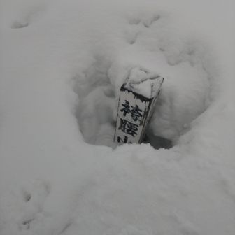 山頂標識
少し出てた。