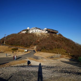 ﾃｸﾃｸ((´∀`)~♪