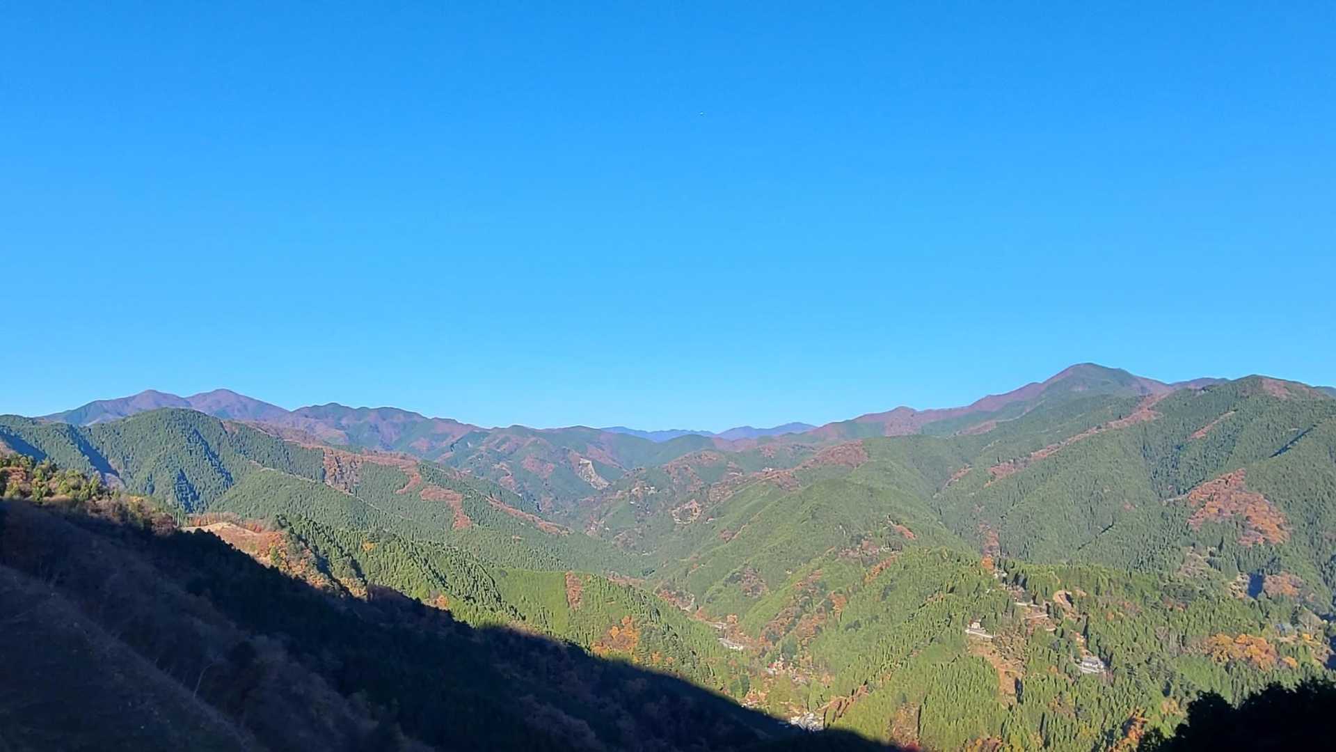 山の斜面の広々とした伐採地からは奥多摩三山の絶景が見れます