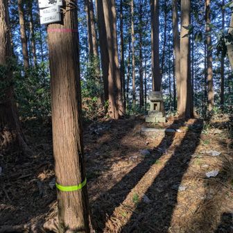 烏森山

祠がありました