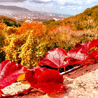 ここだけ赤い😳
多少加工してますが…💦