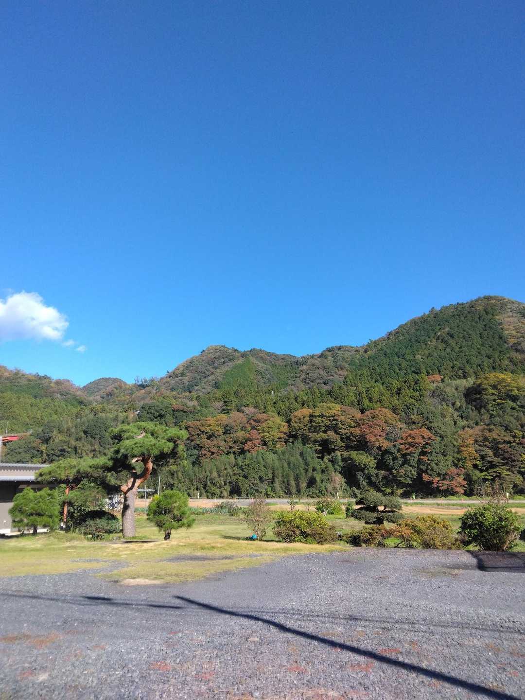登った熊野山✴