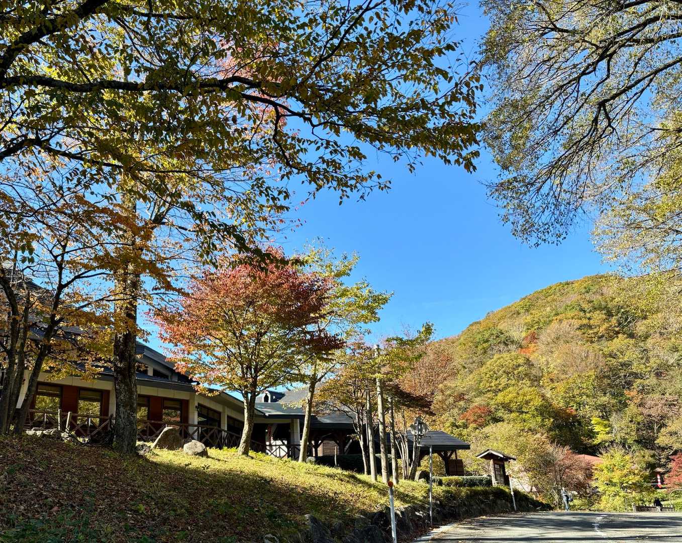 公園センターへ帰って来ました