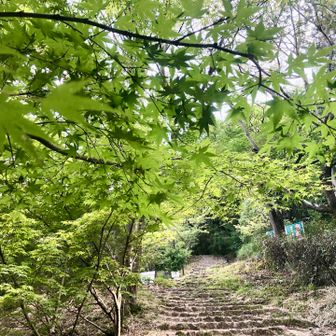 おはよう！飯野山*\(^o^)/*
久しぶりに　まさんにバッタリ！
おしゃべりして嬉しかったです^ ^