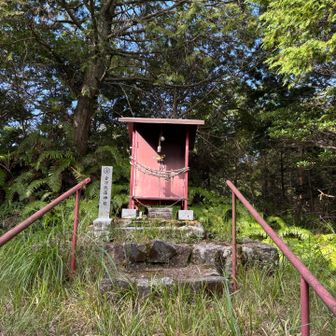 ちょっと荒れてますが祠🙏