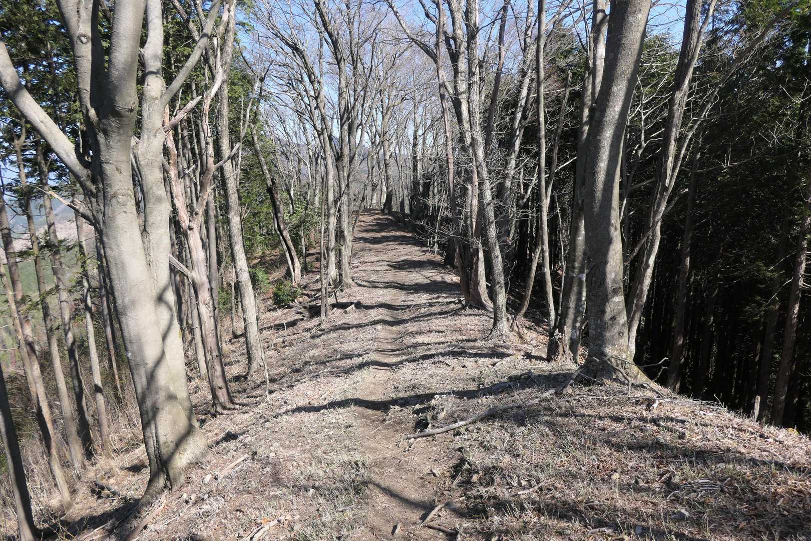 尾根を歩きます。