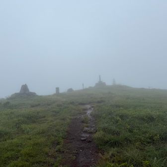 戻ってきた！

雨山も行こうかと思ったけど、
雨がちょいと強くなってきたし、
スタートが予定より遅かったので退散↘️