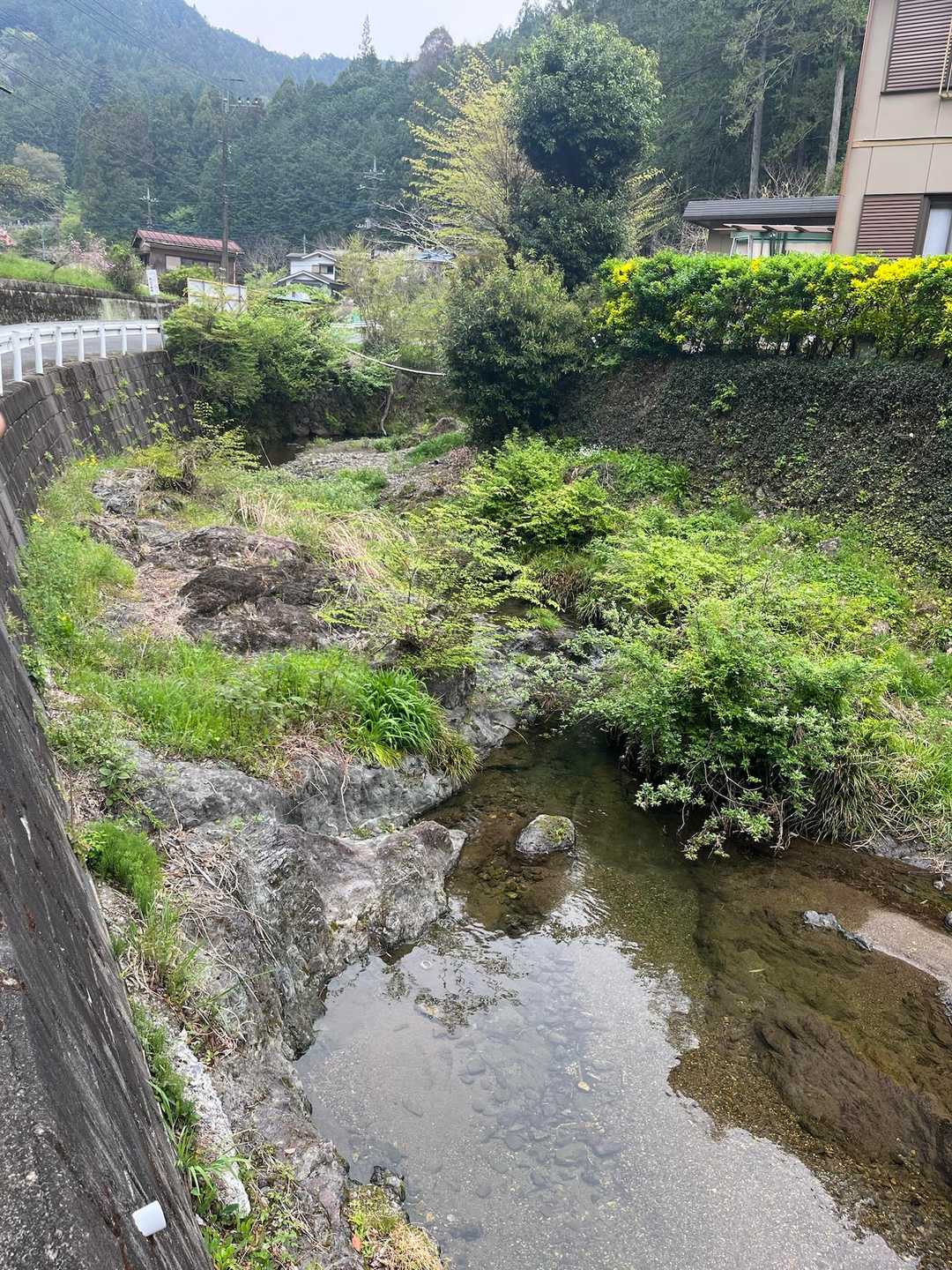 綺麗な川だ
高麗川かな？