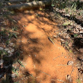 
　土が赤い

　友だちが、ベンガラ色と教えてくれた