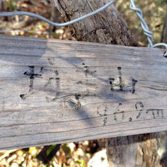 反対側にも行けそうだったので行ったのですが、踏み跡もあってわかりやすかったのに途中からどう下りればいいかわからなくなりました😓また🍂で滑りそうな恐怖に💦
なんとか登り返して元来た道から下山することにしました。
戻ってきたらもう一つ山名板見つけた🥲