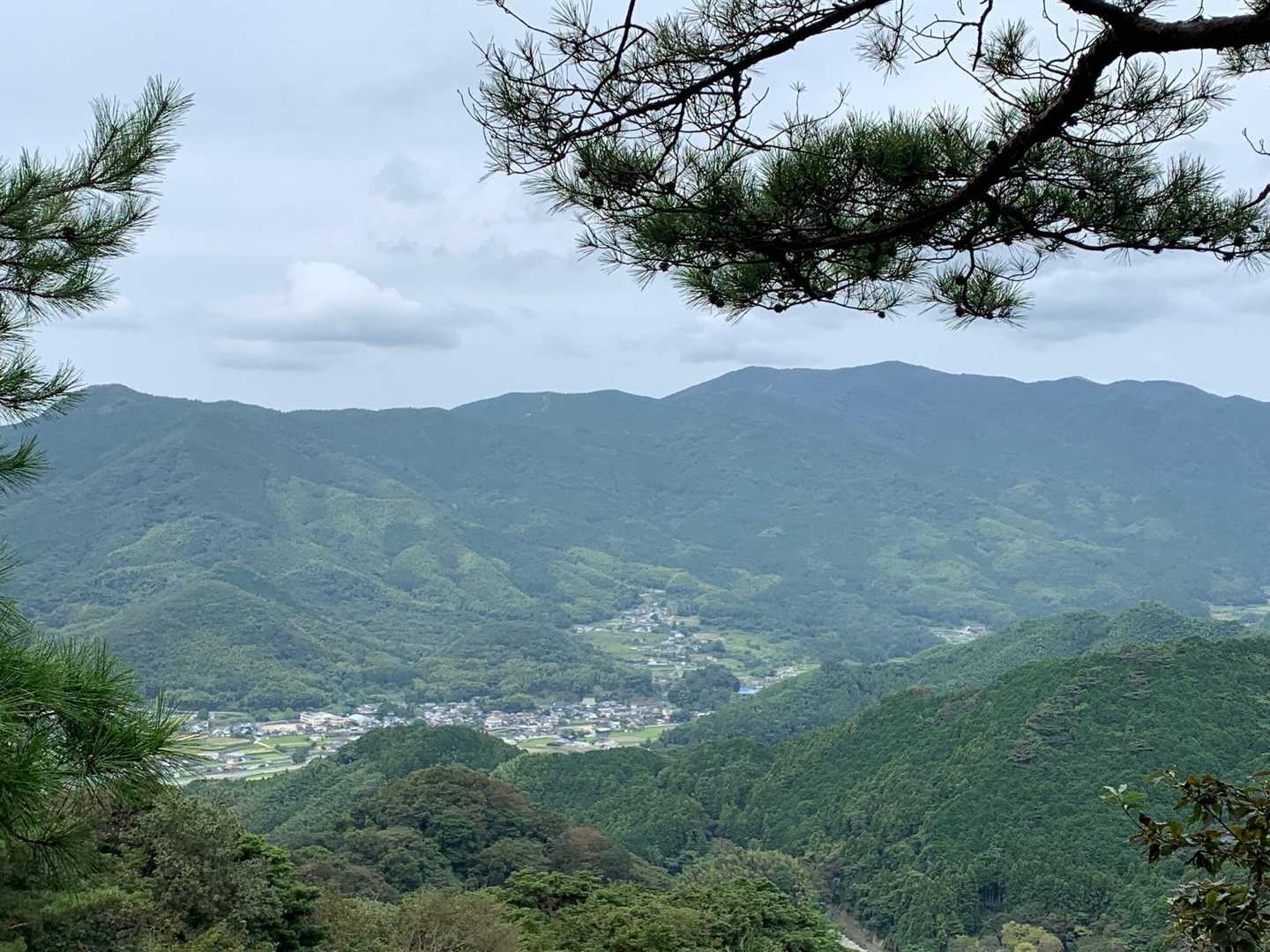 曇ってる、風がヒュー💨