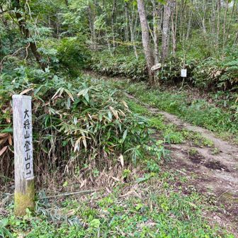 雨がパラパラ降ってるが、張り切ってお邪魔します！