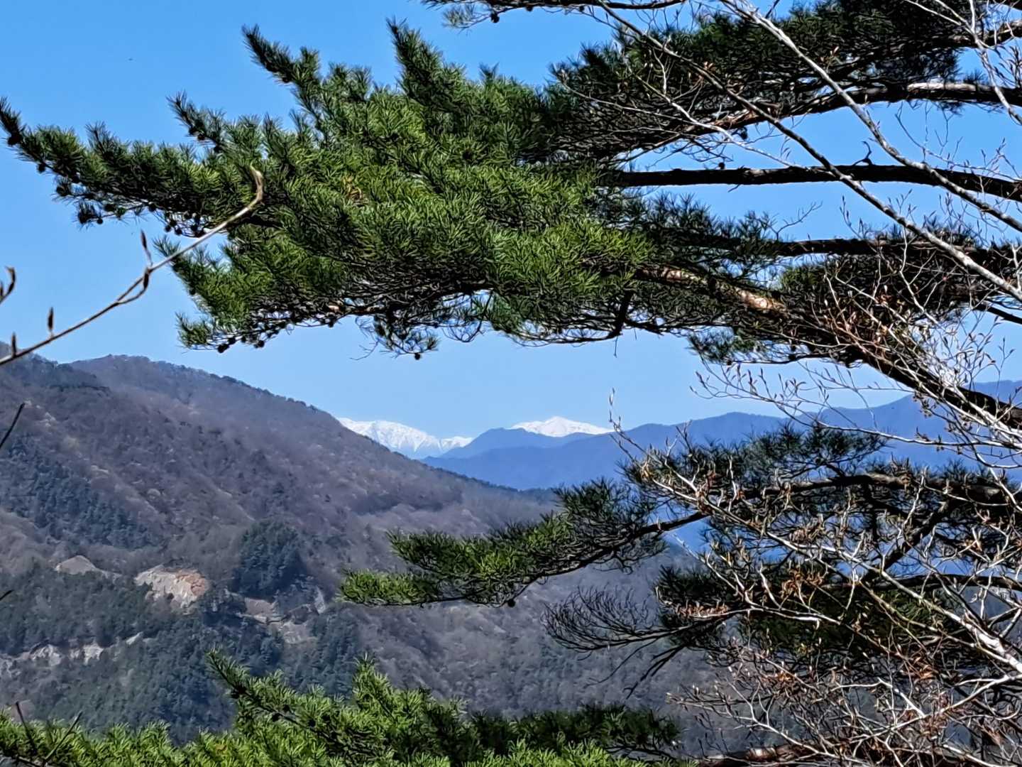 遠くに✨😳