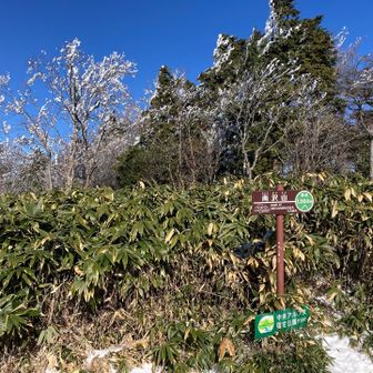 午後は恵那のお米農家さんに年間取り置きして貰ってるお米を買いに行くのでなるはやで下山したいけど足が攣る〜💦